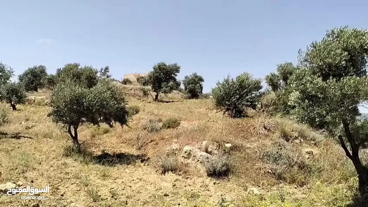 أرض مميزة جداً لعمل شاليه استثماري أو مزرعة خاصة أو مزرعة تجارية يوجد بها قناة ماء من المالك مباشرة