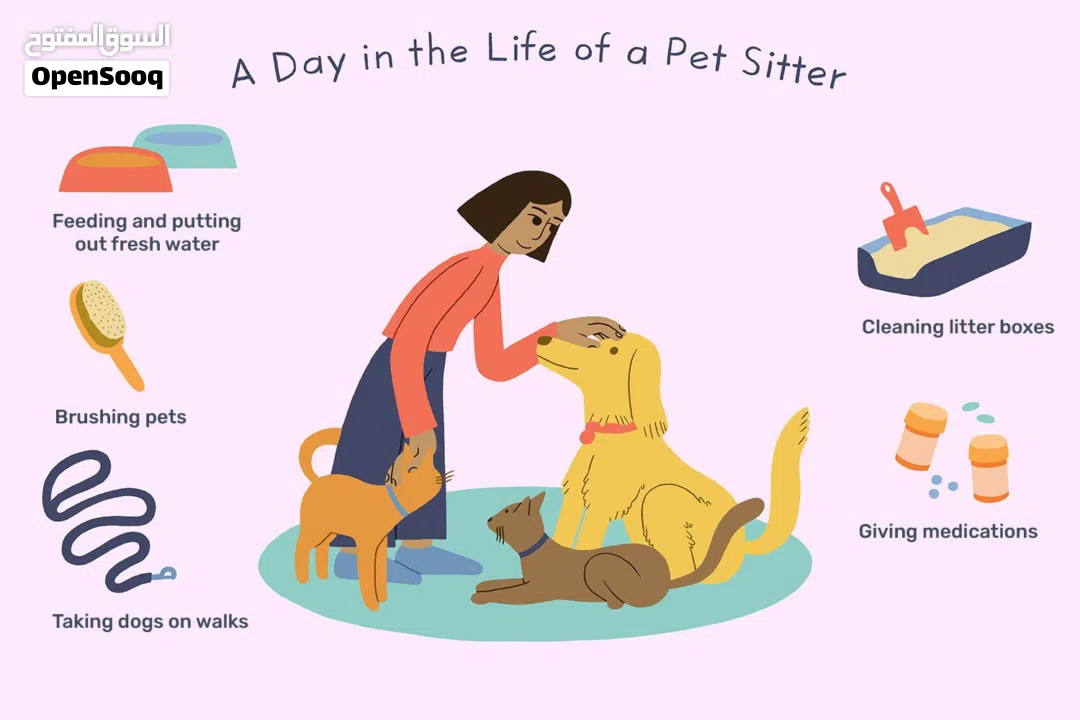 Pet Sitter service affordable price