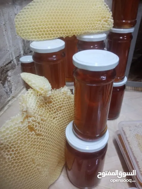 عسل اصلي ربيعي مضمون