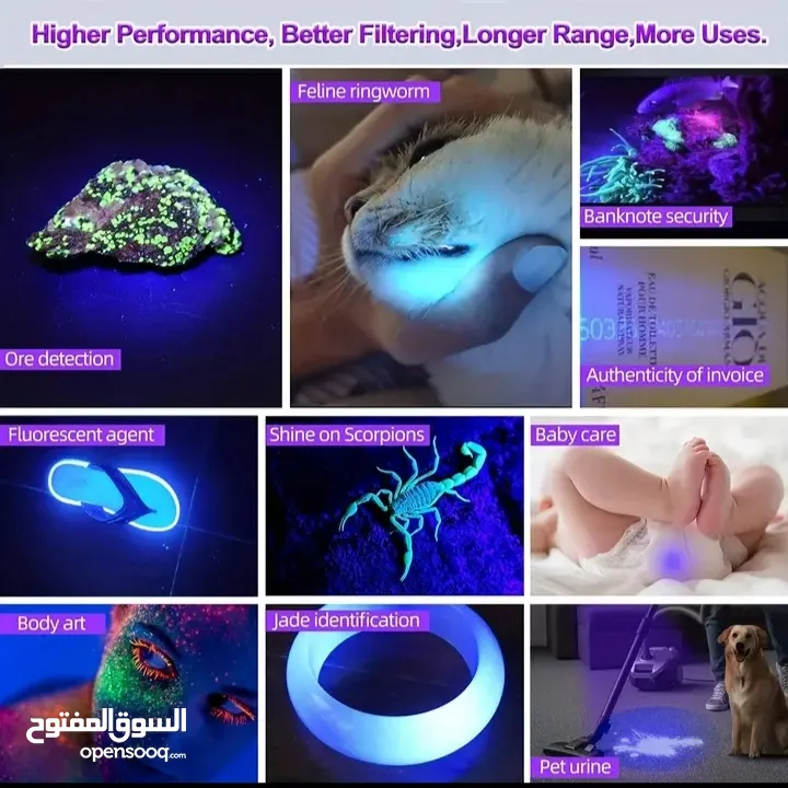 كاشف فطريات الحيوانات الأليفة لوكس UV أشعة فوق البنفسجية كشاف العقارب