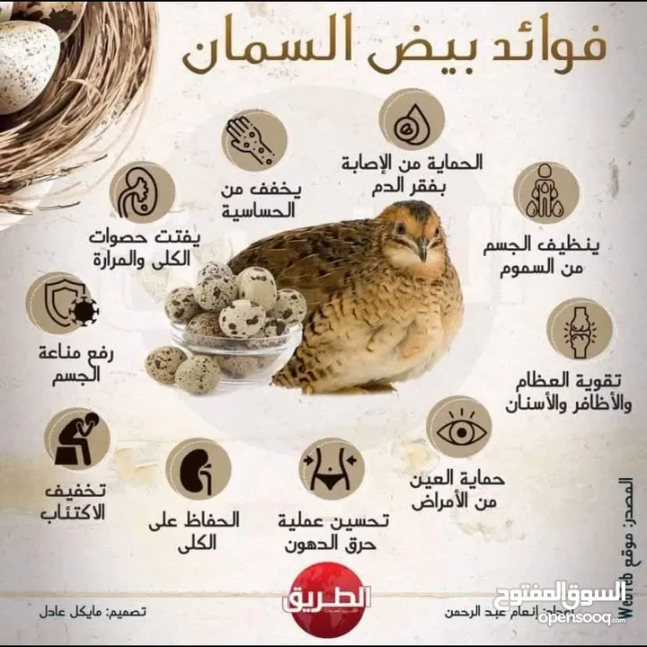 بيض فري للأكل