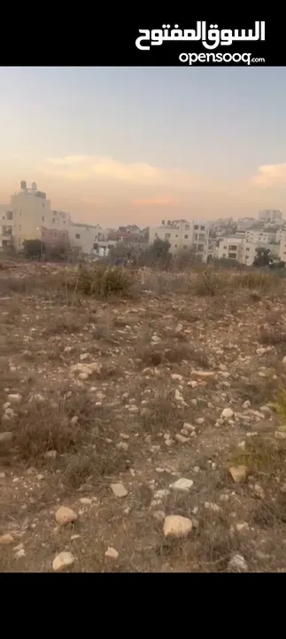 ارض للبيع في منطقه بيرزيت مساحه 6دونم كوشان طابو تصنيف الف