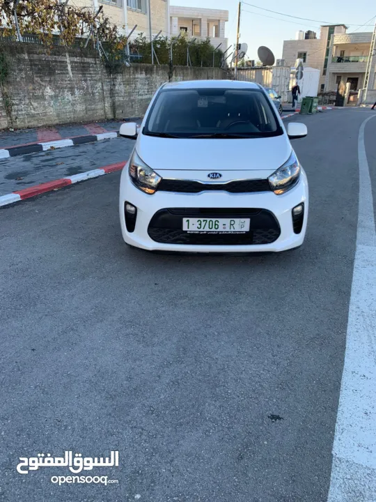 كيا بيكانتو كرتونه