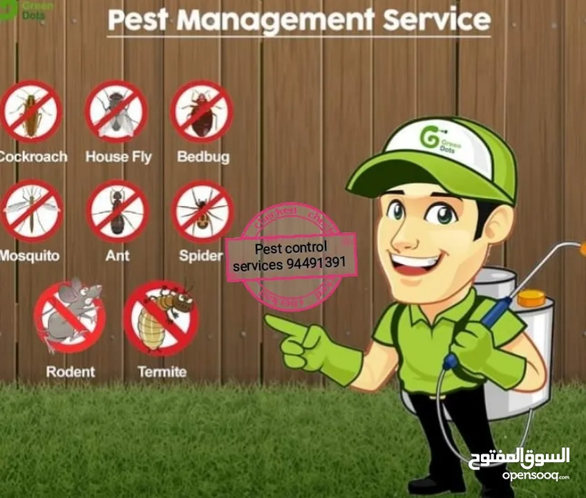 We provide you the best pest control service's