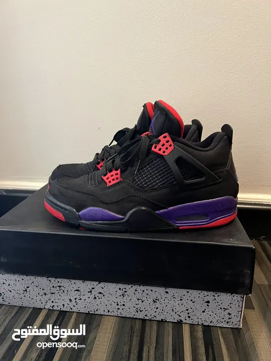 Jordan 4 retro NRG raptor drake signature