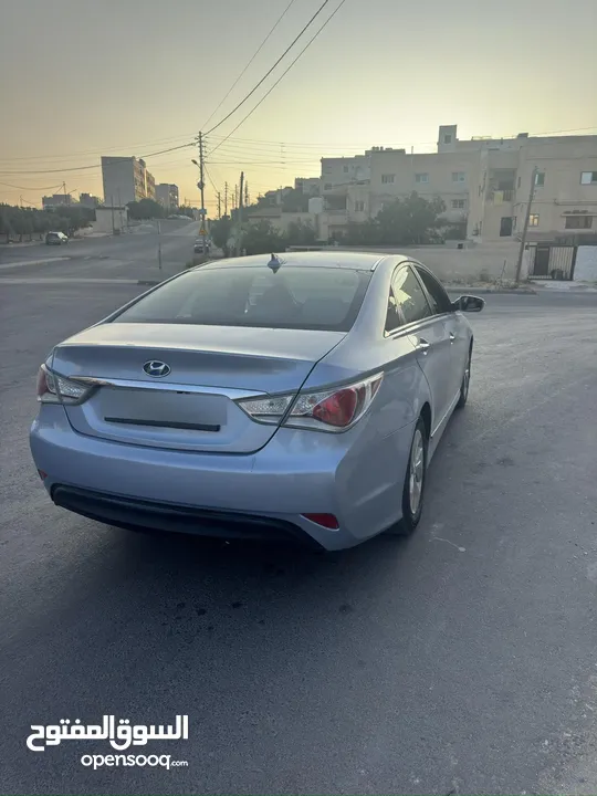 سوناتا وارد أمريكي
