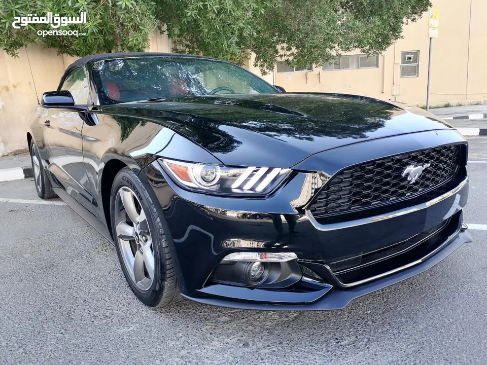 فورد موستنج ستة سلندر 2017 كشف Ford Mustang V6 Convertible