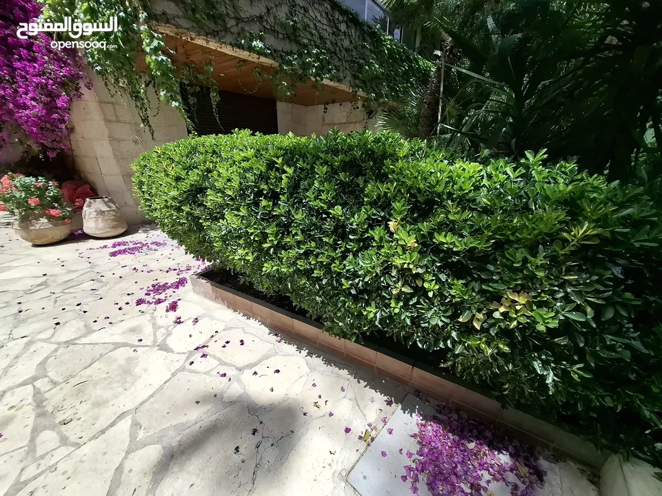 شقة غير مفروشة للإيجار  ( Property 43170 )-175095420