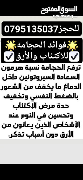 جبنه وورق عنب ملفوف جاهز للطبيخ ومقدوس ومراتبين ورق عنب وكبه ومعجنات وتبولة ومعمول وكيك ومربى وحلاوه