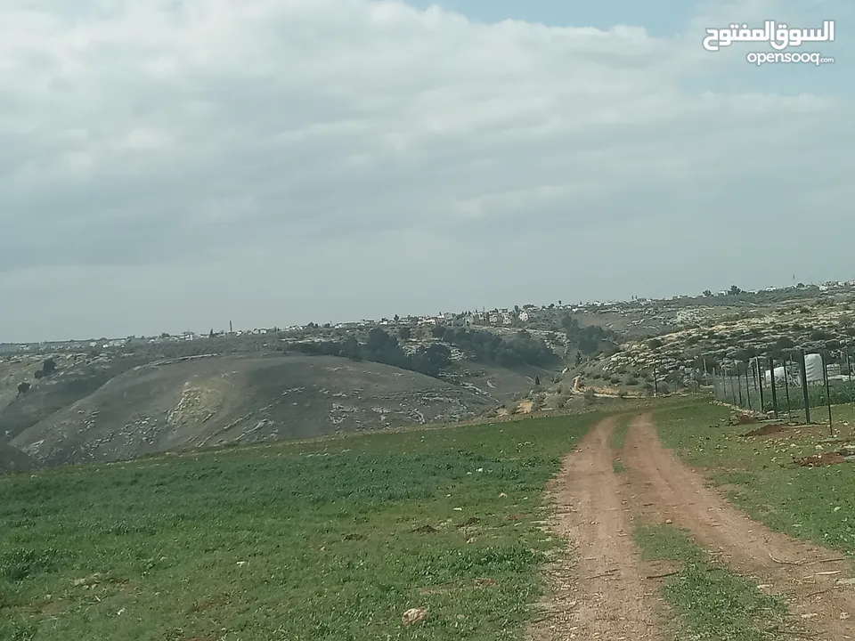 ارض سكنيه قرب مثلث حور فوعرا للبيع بسعر مغري
