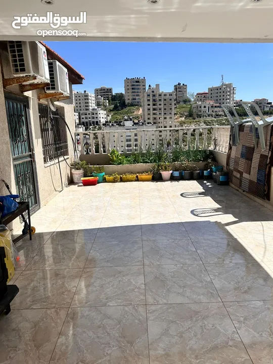 روفف فخر للبيعفي بتونيا