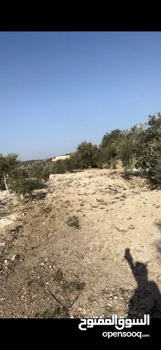 ارض للبيع في بلعا