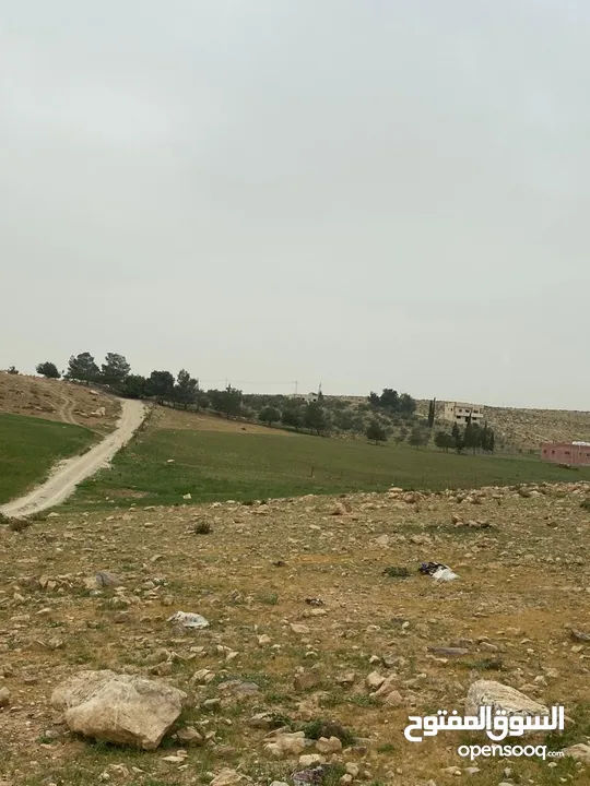 ارض مساحة 3,757 دونم للبيع بسعر مغري في منطقة الدليله