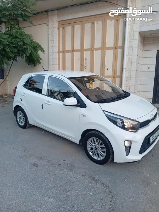 بيكانتو 2022 سعر حرق على الكاش إمكانية البيع نص كاش ونص شكات مع فرق في السعر