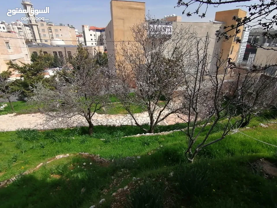 ارض للبيع في ضاحيه الياسمين خلف مسجد نابلس