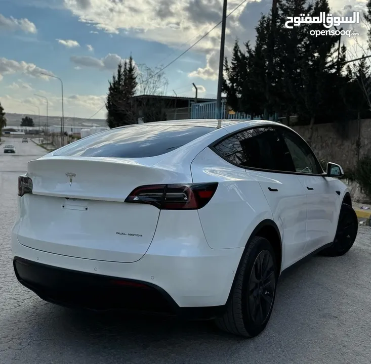 Model y 2021