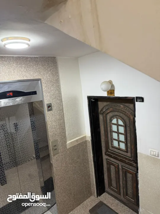 شقة مفروشة / الماصيون