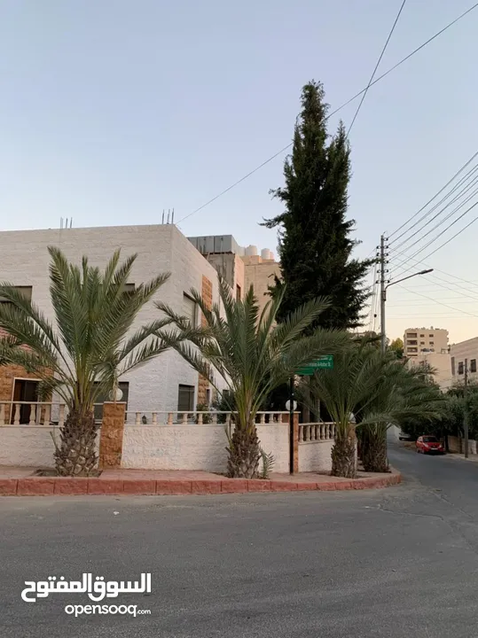 بيت في مرج الحمام بسعر مغري عباره عن عماره خاصه 3 طوابق