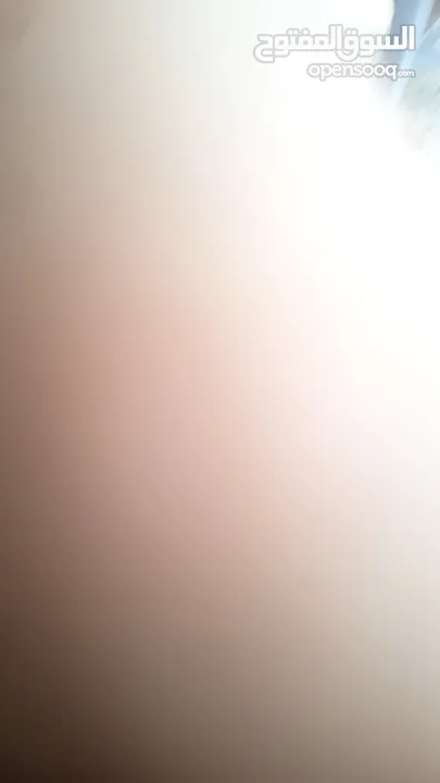 hvcvv jfhfdfdddh