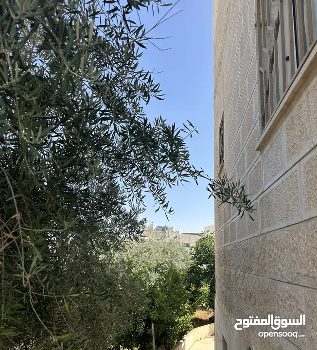 قطعه ارض دونم + مع بناء مرخص بالكامل موقع مميز سعر مميز المعلومات واضحه جدا بالصور