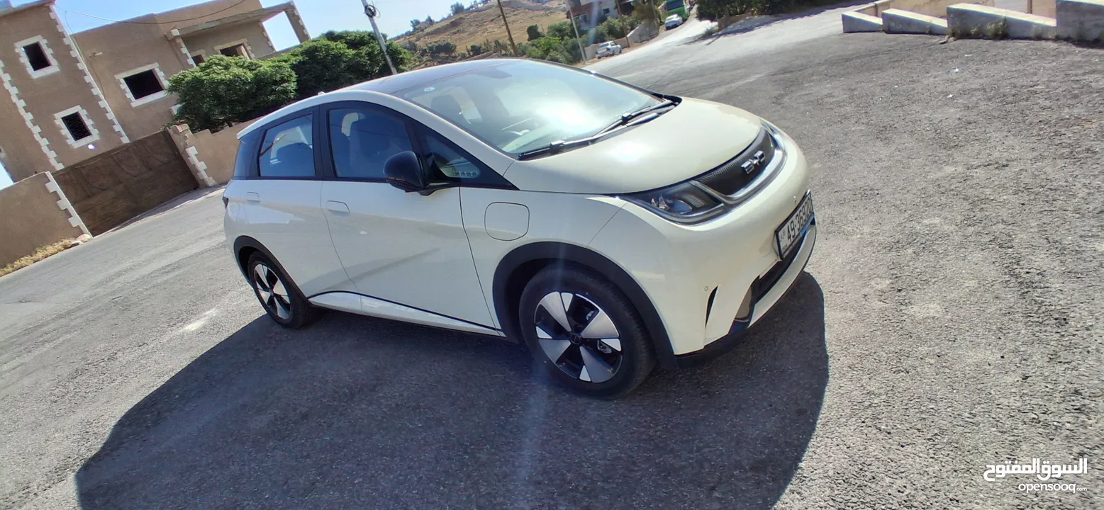 BYD 2023 دولفين