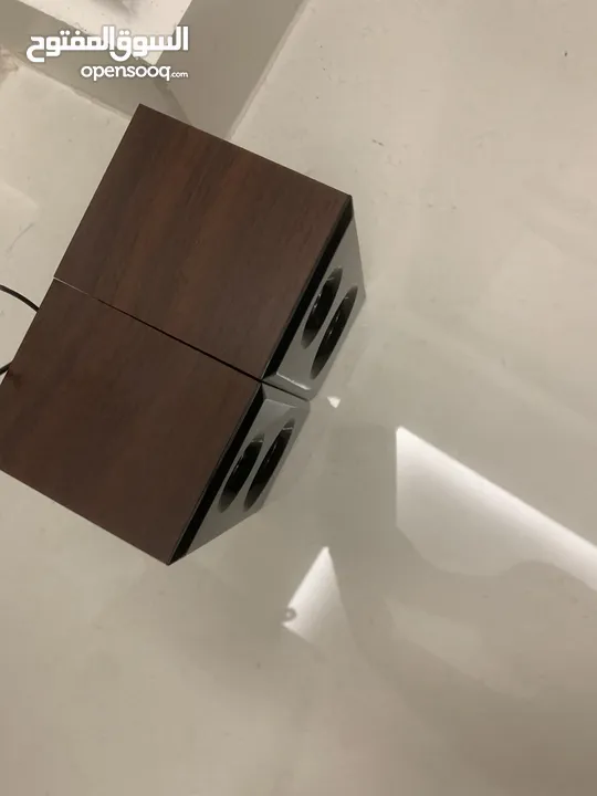 Leerfei speakers