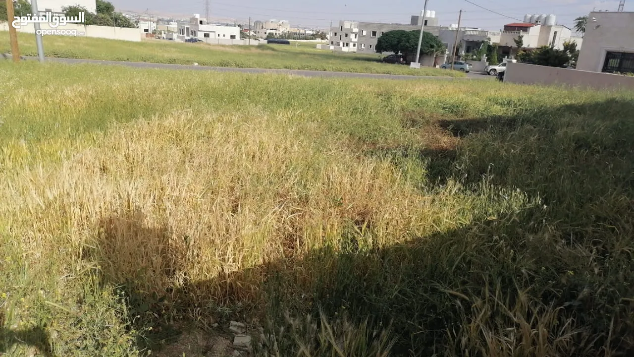 قطعة أرض مميزة للبيع حي الباير الجويدة