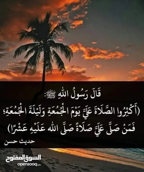 شقه للبيع (((((((كوشان مشترك))))) الهاشمي الشمالي