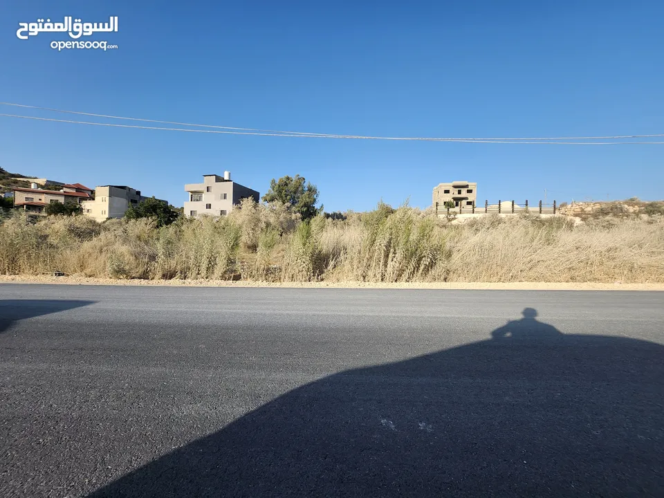فرصة بالجاروشية