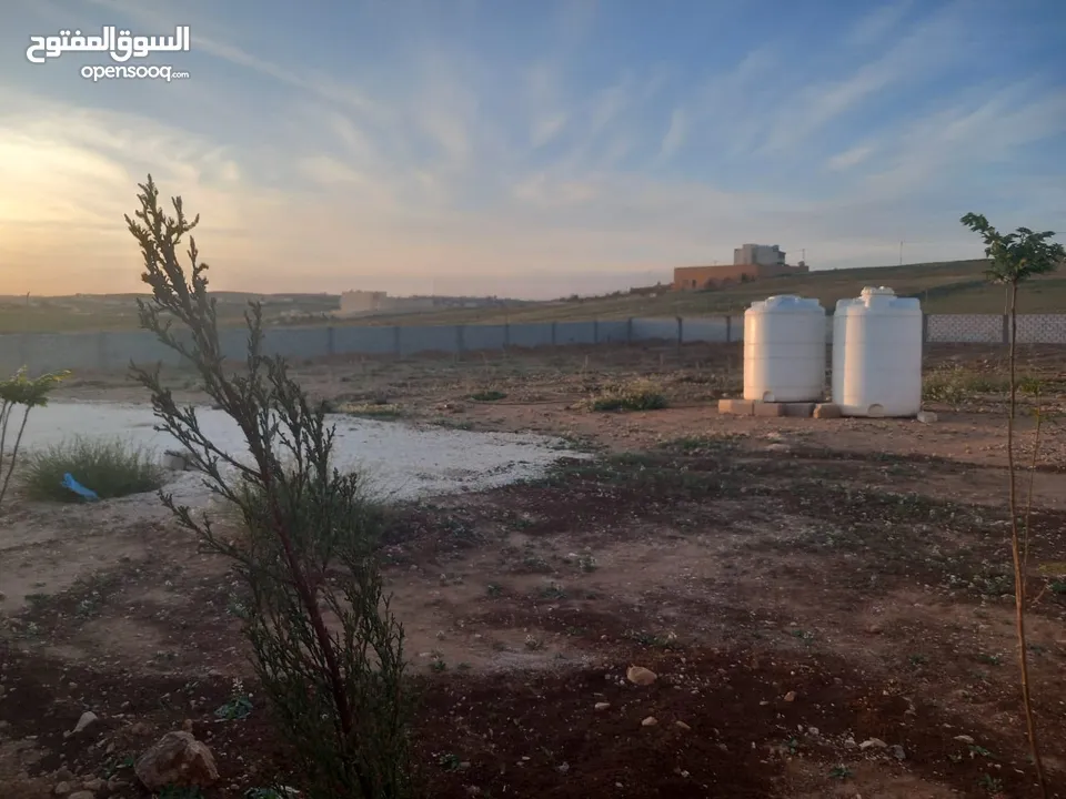 فرصة  للاستثمار في أرض بموقع مميزة في المفرق –متعدد الاستخدام- طريق رحاب - التحويلة حوض الوسية