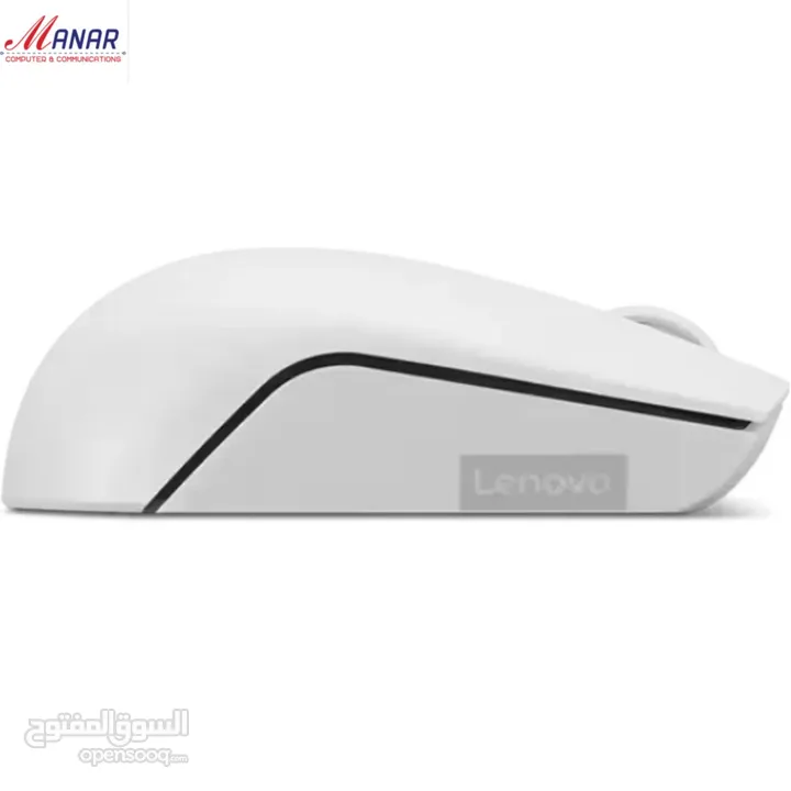 LENOVO 300