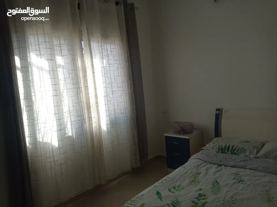 شقه مفروشه للايجار