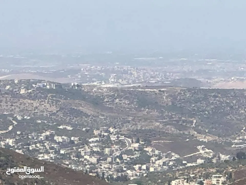 نمرة أرض مساحة 500 متر في مشروع أبو صالحة ، بزاريا / كوشان طابو مفروز تصنيف A