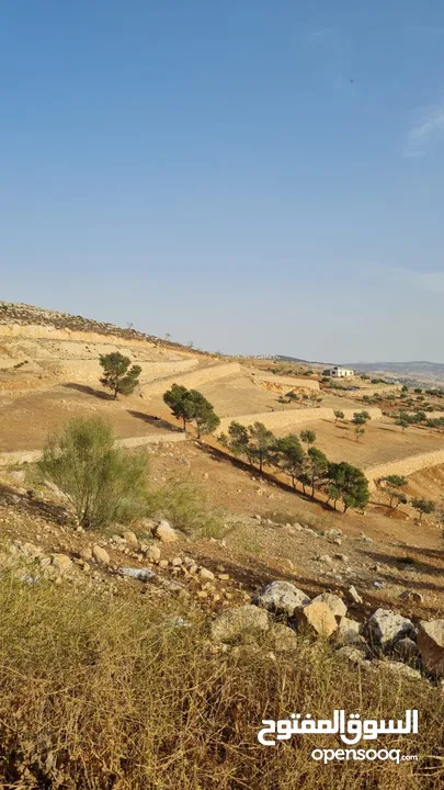 ارض زراعية على حدود التنظيم, مسافة قريبة من مدينة جرش و 27 دقيقة من عمان . واصل كهرباء و مياه