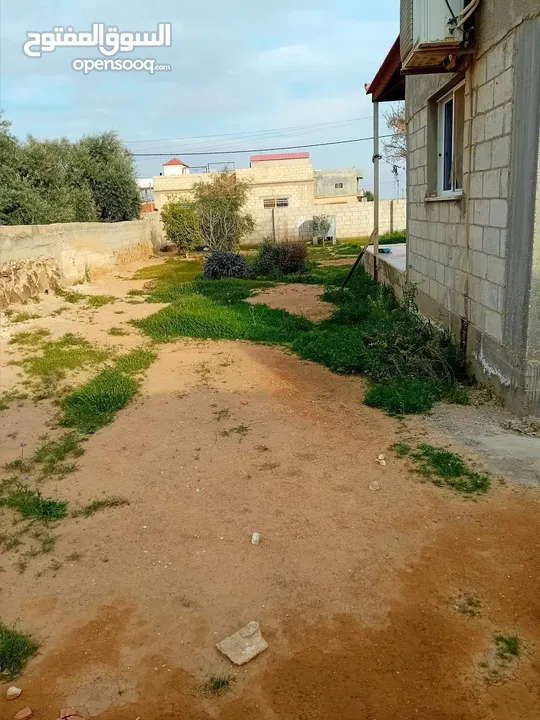 منزلين للبيع بلدة الزعتري