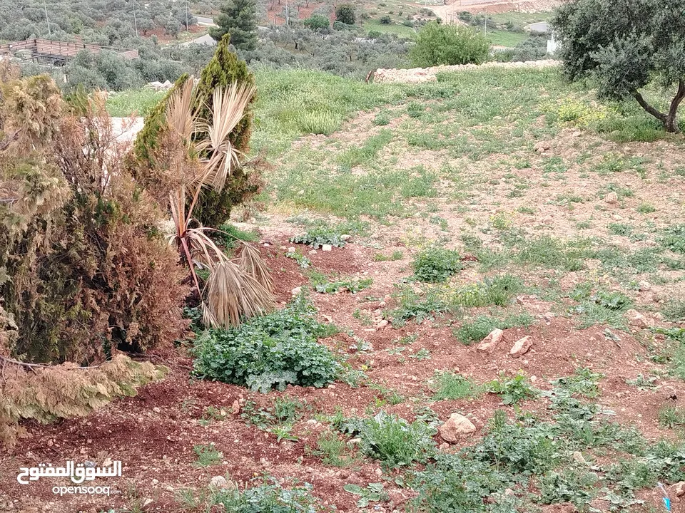 2300 م السلط المغاريب قطعة ملوكية تصلح ل فيلا او مزرعة اطلالة ع الغرب و جبال فلسطين