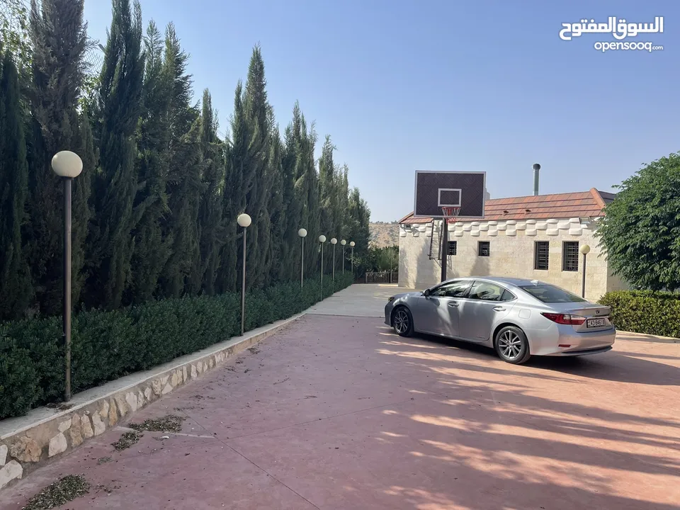 مزرعة و شاليه مميزة للبيع في منطقة الكمشة - الزرقاء