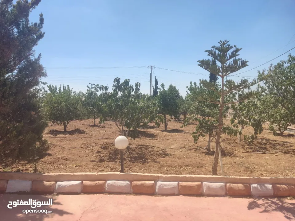 مادبا حواره مزرعه للبيع