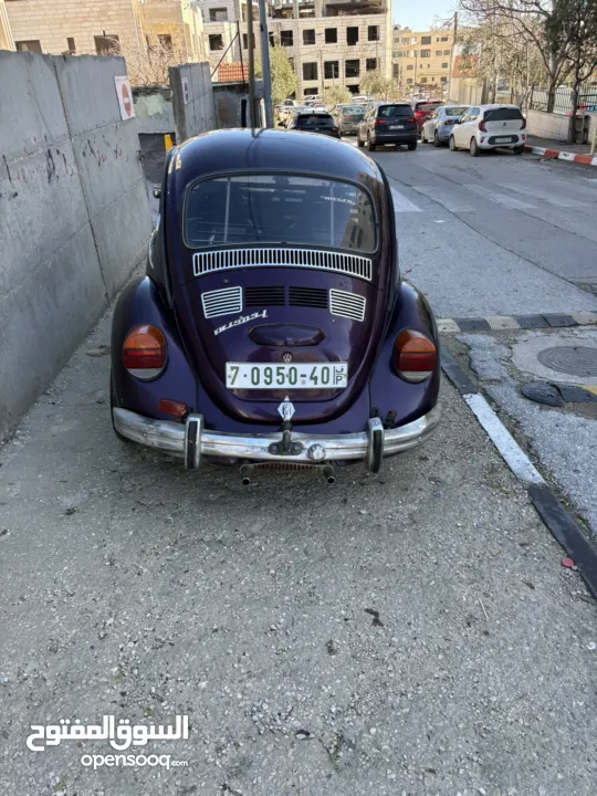 فوكسفاكن بيتل (صرصور)