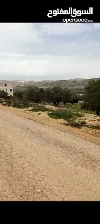 ارض للبيع في منطقه الطيره  بطن الهو  للبيناء اسكان مساحه دونم