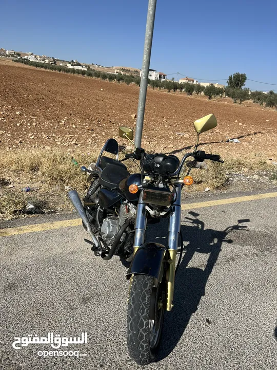 هارلي الجمل للبيع