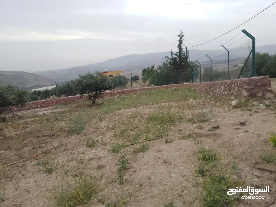 أرض ذات إطلالة خلابة في أجمل مناطق جرش