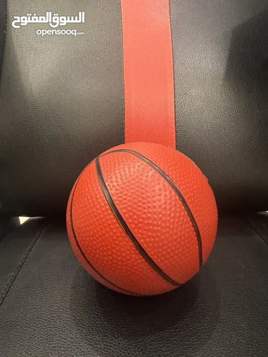 Basket Ball Hoop