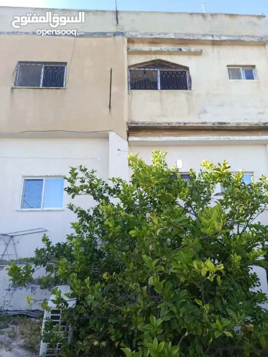عماره سكنيه للبيع