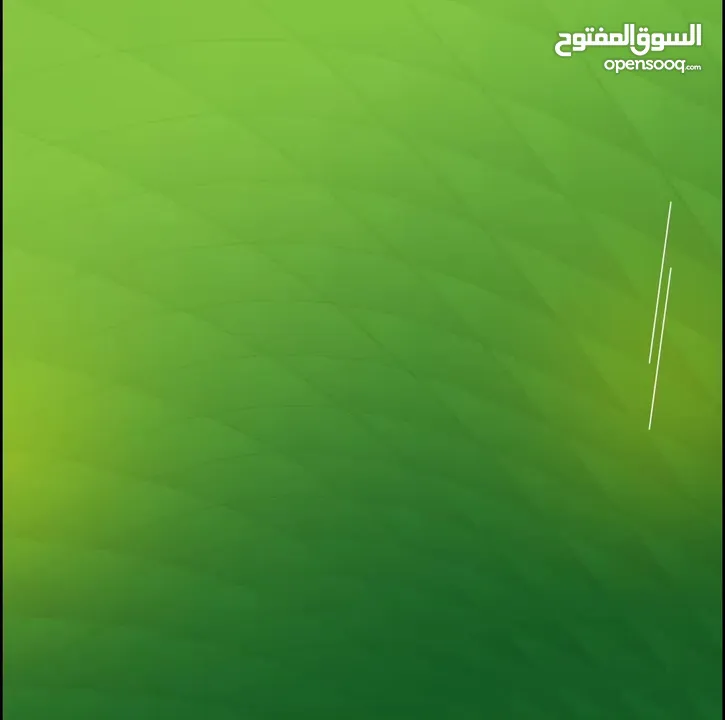 مكافحة الحشرات والقوارض والصراصير وبق الفراش والفئران والبريعصى والنمل
