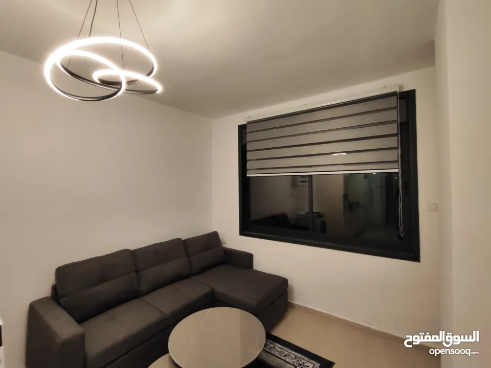 استديو جديد مفروش للايجار في الماصيون