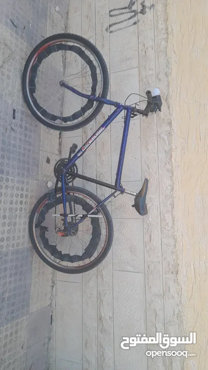 بسكليت للبيع بسعر طري