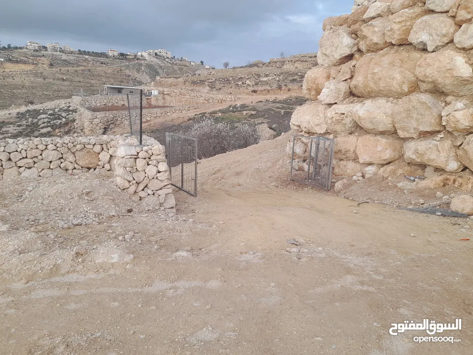 1800م ارض في خرسة دورا الخليل