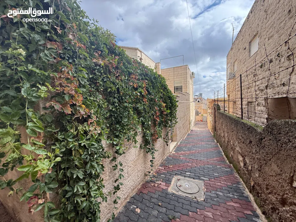 عيس جورج جبرية