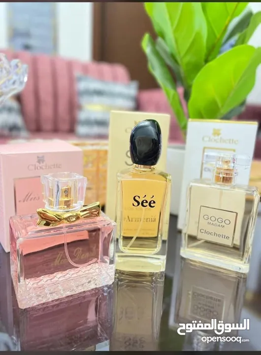 عطر ستاتي ورجالي